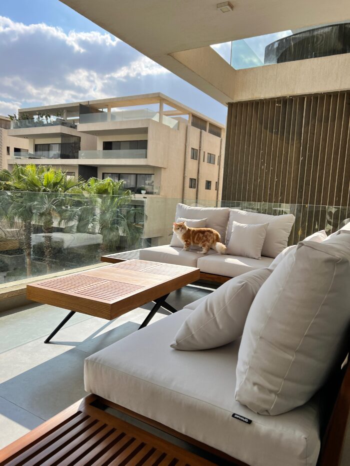 New Havana - Image 5